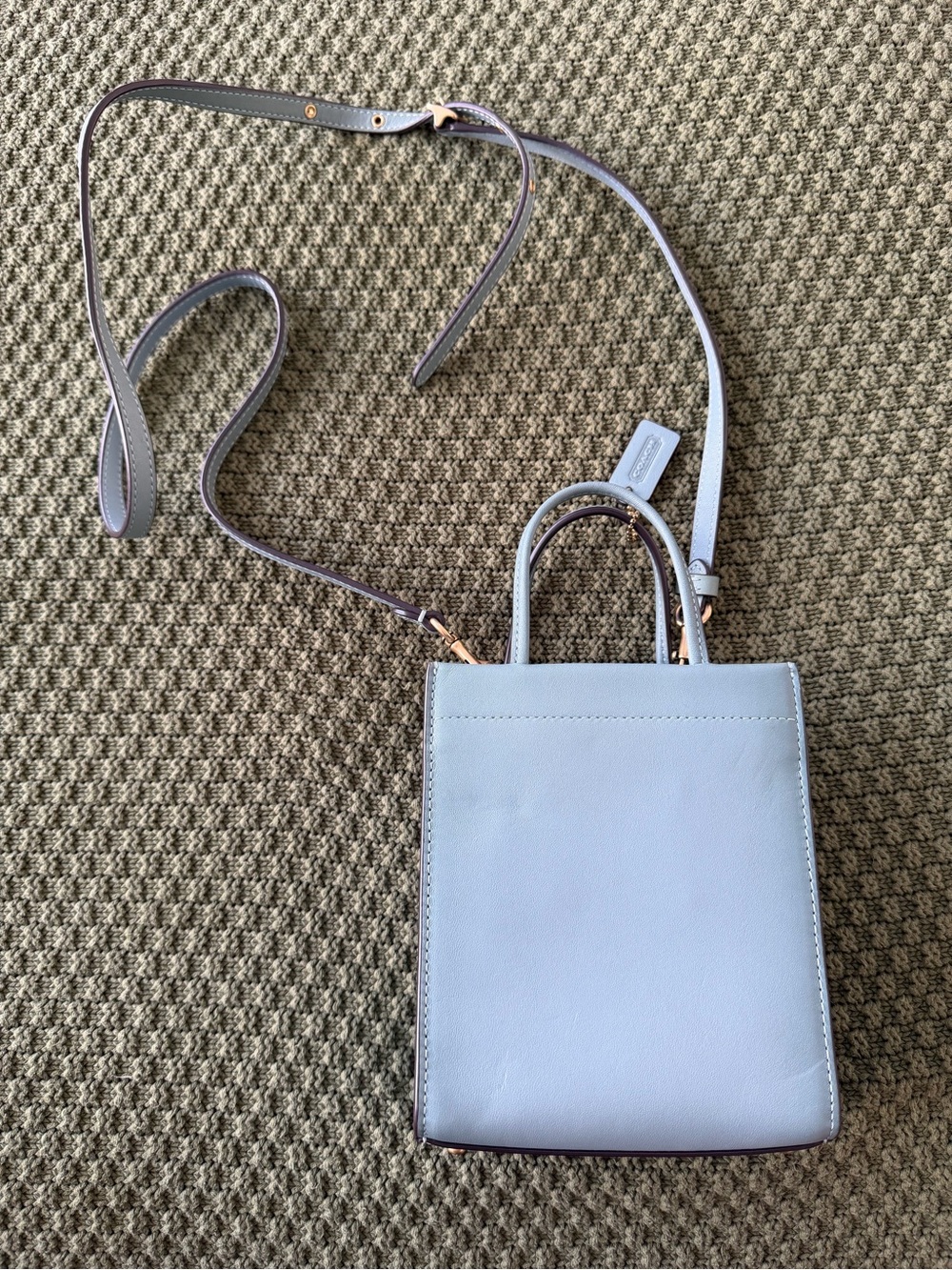Coach Mini Cashin Tote – Sage